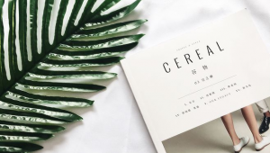 哪里有卖ins账号的？揭秘获取途径与潜在风险