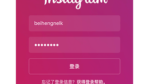 惊！以前的ins竟无法登录，背后原因究竟几何？