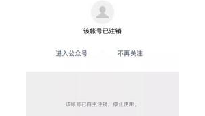 Ins账号太久未登会自动注销吗？真相究竟如何？