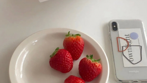 INS账号租用：便捷获取，解锁多样精彩社交体验