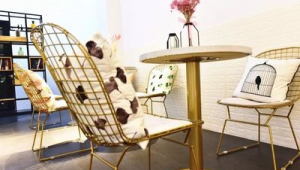 揭秘ins商家运营秘籍，解锁流量密码与销售增长新途径